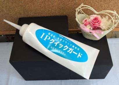 IP クイックガード