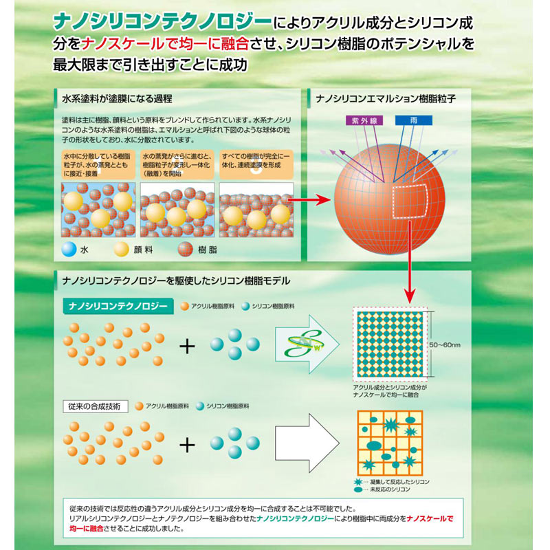 水系Wシーラー